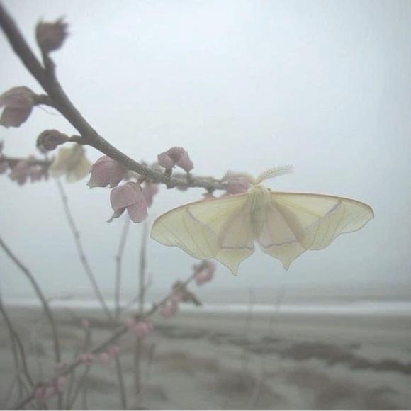 Lets b friends :D - Picture 2 of 10